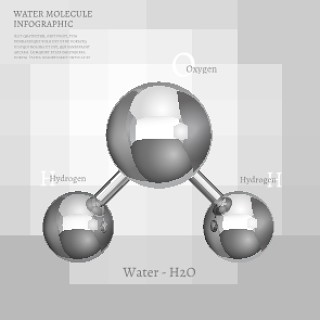 信息图表生物气泡17