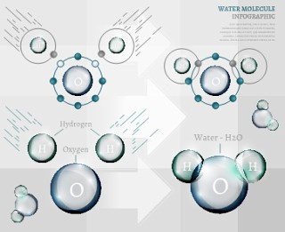 信息图表生物气泡20
