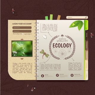 生态信息图模板304