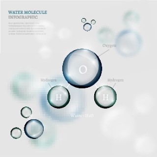 信息图表生物气泡02