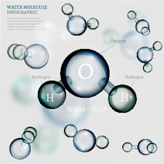 信息图表生物气泡25