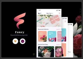 精美的应用程序用户界面工具包Fancy App UI Kit