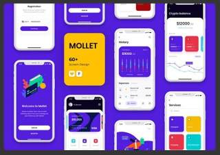 钱包应用程序用户界面工具包MOLLET - Wallet app UI Kit