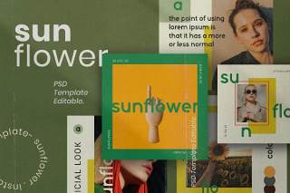 社交媒体营销模板PSD移动界面设计素材Sunflower - Social Media Pack 2