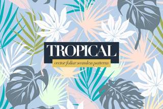 多彩的热带树叶图案AI矢量设计背景素材Colorful Tropical Foliar Seamless Patterns