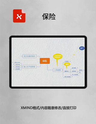 思维导图保险XMind模板