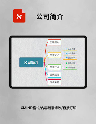  思维导图简洁公司简介XMind模板