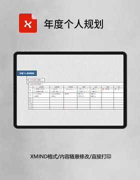 思维导图年度个人规划XMind模板