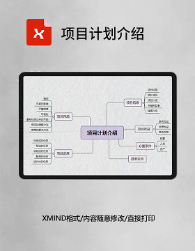思维导图简洁项目计划介绍XMind模板