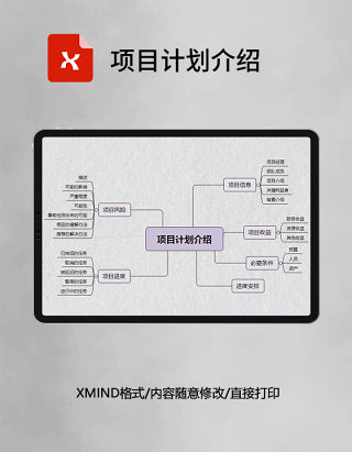 思维导图简洁项目计划介绍XMind模板