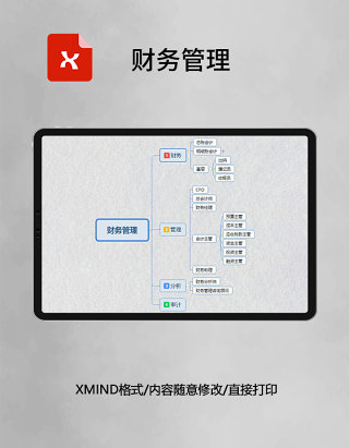 思维导图财务管理XMind模板