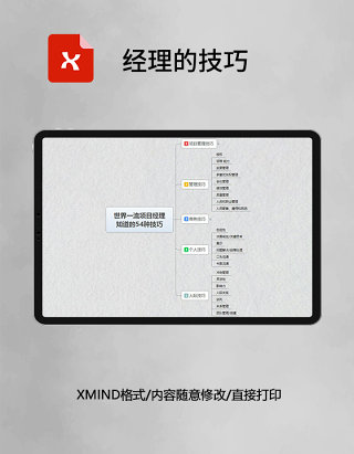 思维导图简洁经理的技巧XMind模板
