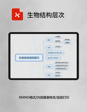 思维导图简洁生物结构层次XMind模板