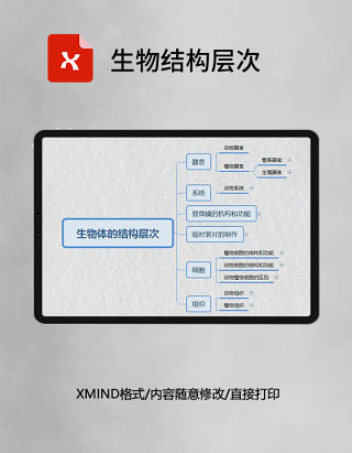 思维导图简洁生物结构层次XMind模板