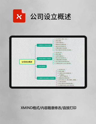 公司设立概述思维导图XMind模板