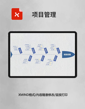 思维导图项目管理XMind模板