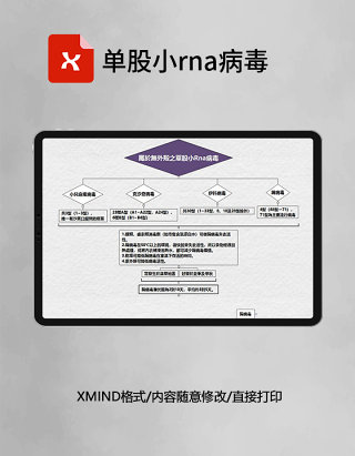 思维导图单股小rna病毒XMind模板