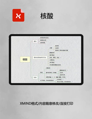 思维导图核酸XMind模板