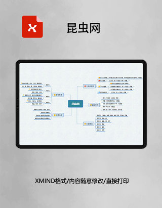 思维导图昆虫网XMind模板