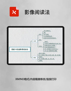  思维导图简洁影像阅读法XMind模板