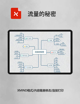 思维导图简洁流量的秘密XMind模板