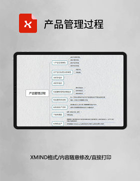思维导图产品管理过程XMind模板