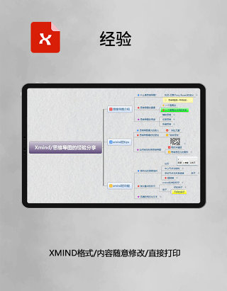 思维导图经验XMind模板