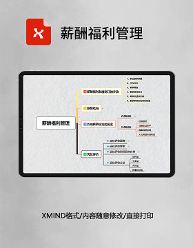 思维导图简洁薪酬福利管理XMind模板