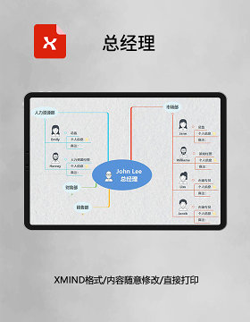 思维导图简洁总经理XMind模板