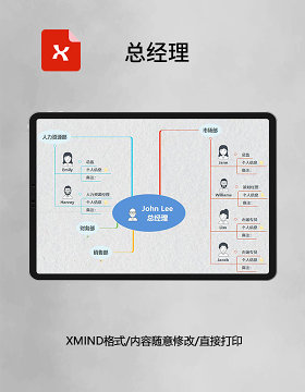 思维导图简洁总经理XMind模板