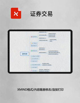 导思维导图简洁 XMind模板