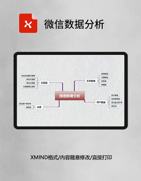 思维导图简洁微信数据分析XMind模板