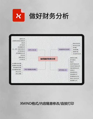 思维导图简洁做好财务分析XMind模板