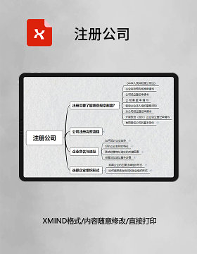 思维导图简洁注册公司XMind模板