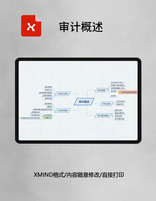 思维导图审计概述XMind模板