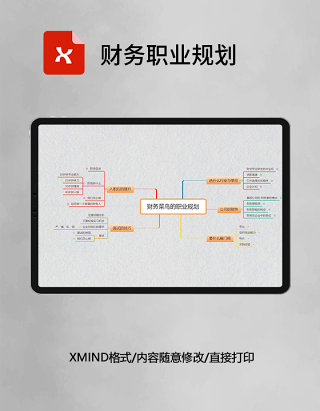 思维导图简洁财务职业规划XMind模板