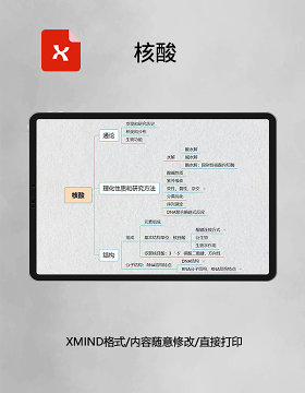 思维导图简洁核酸XMind模板