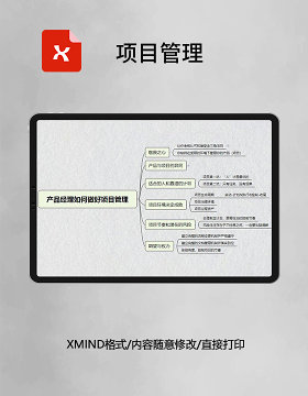 思维导图简洁项目管理XMind模板