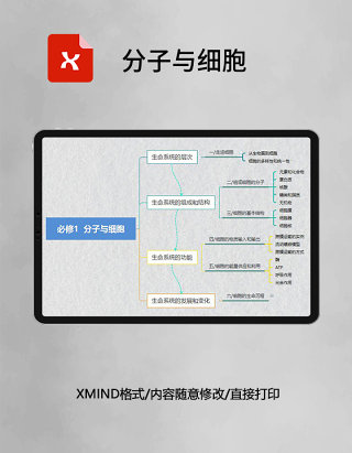 思维导图分子与细胞XMind模板