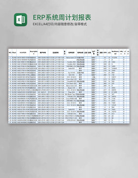 ERP系统周计划报表Excel模版