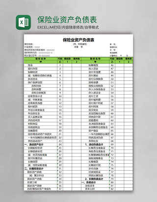 保险业资产负债表excel表格模板