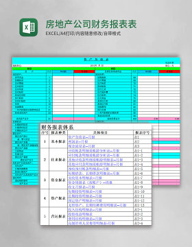 房地产公司财务报表excel表