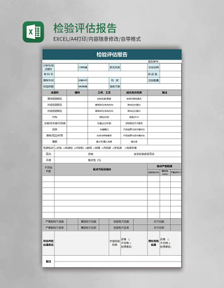 检验评估报告excel模板