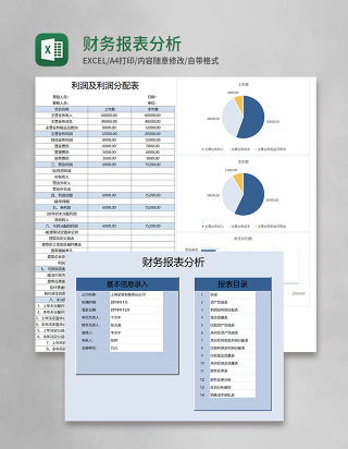 财务报表分析Excel模板
