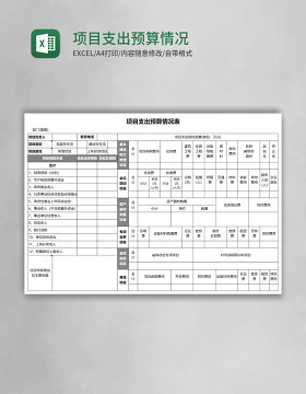 项目支出预算情况表Excel模板