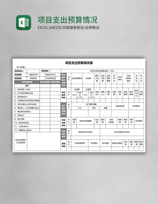 项目支出预算情况表Excel模板