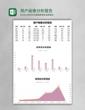 用户画像分析报告Excel模板