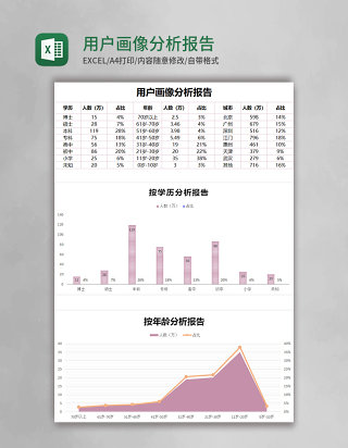 用户画像分析报告Excel模板