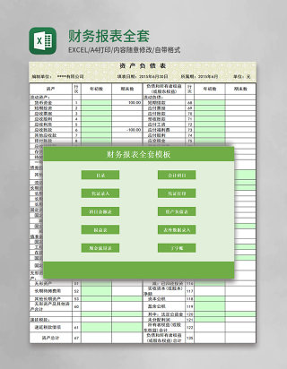 财务报表全套模板Excel模板