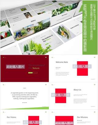 绿色蔬菜图片版式设计PPT模板Vegetables Powerpoint Template